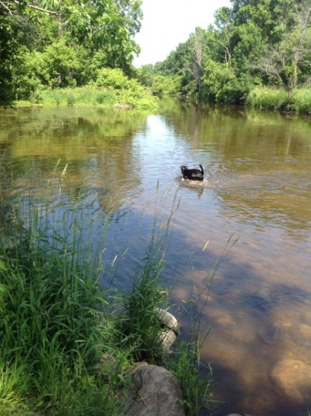 Cedar Valley Campgrounds
