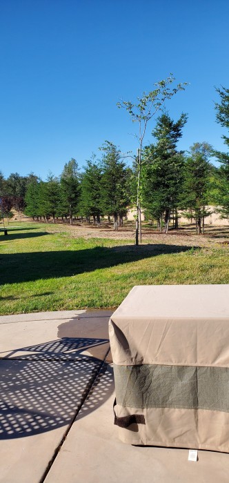 Gold Country  Inn and Casino RV Park
