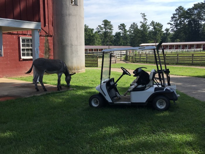 Oak Mountain State Park Equestrian Camping