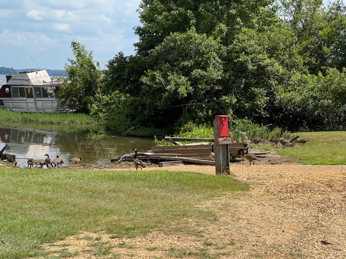 Smithville Marina Campground