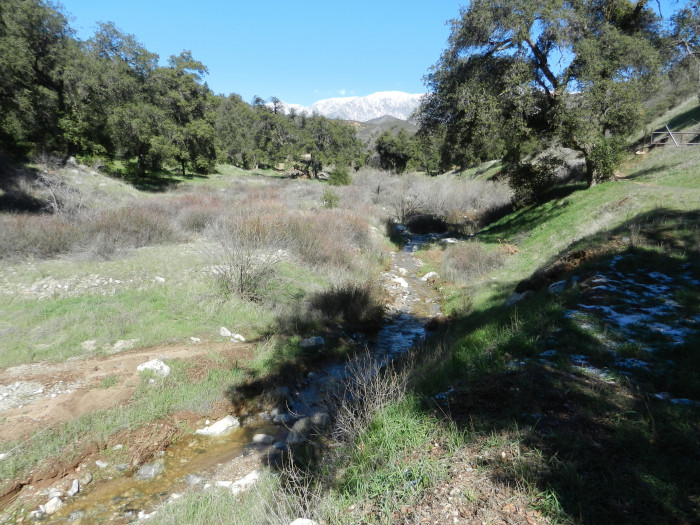 Bogart Regional Park