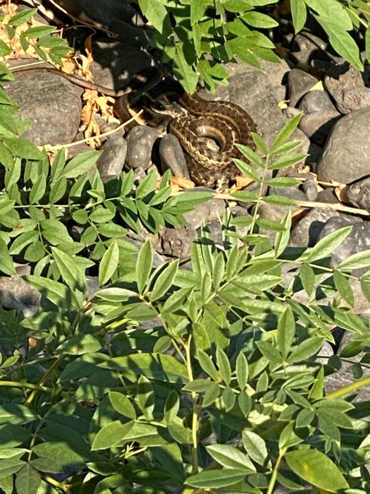 Cottonwood Canyon State Park