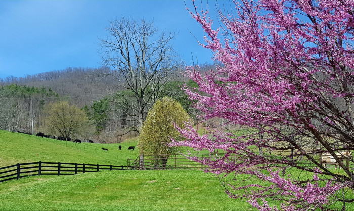 Walnut Hollow RV Ranch