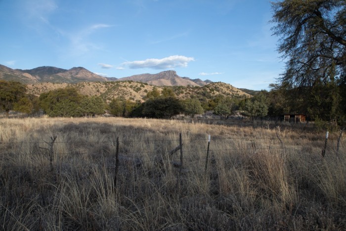 Double T Homestead