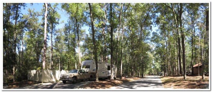 Colleton State Park