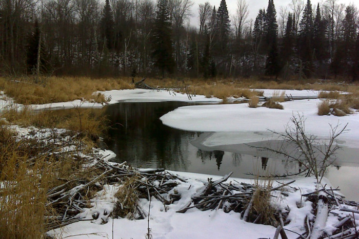 La Salle Lake State Recreation Area Campground