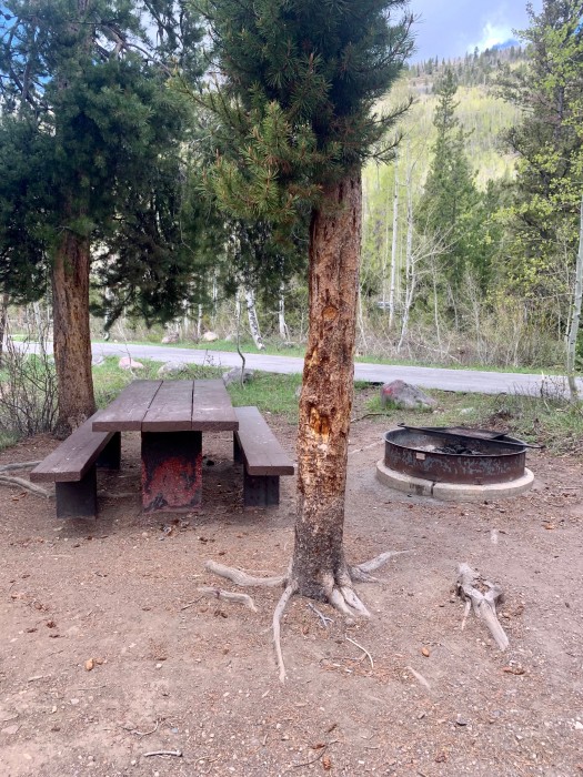 Shady Dell Campground