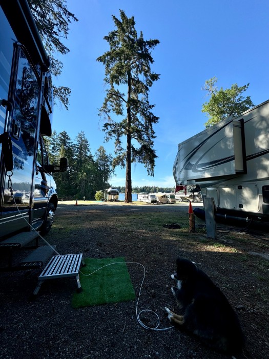 Camp Murray Beach