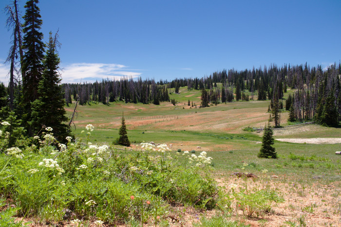 Point Supreme Campground