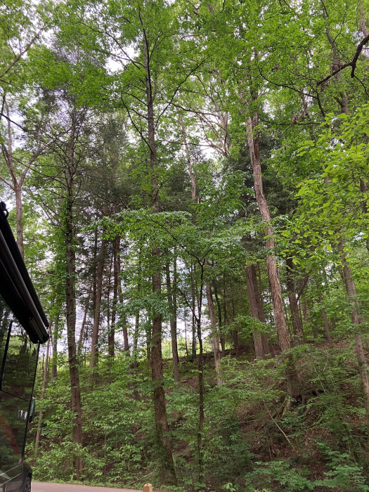 Parksville Lake R.V. campground