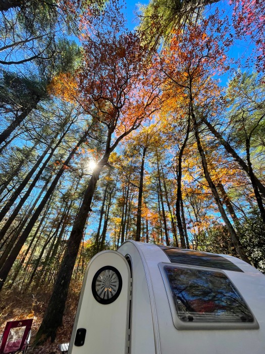 Van Hook Glade Campground