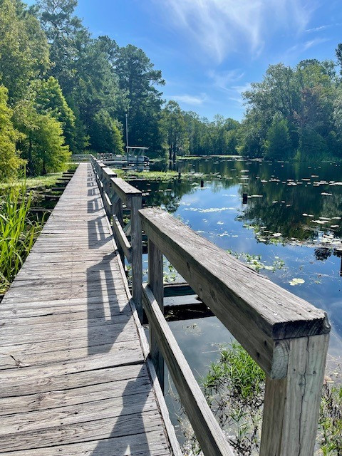 Unhitched Lake Moultrie RV Park & Marine