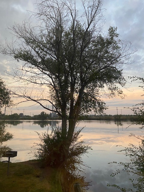 South Tourist Park Campground