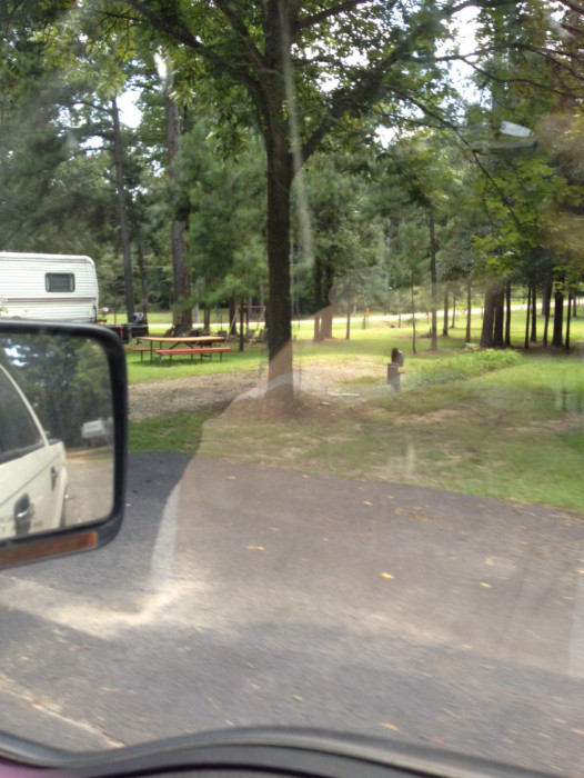 Bayou D’Arbonne Camping