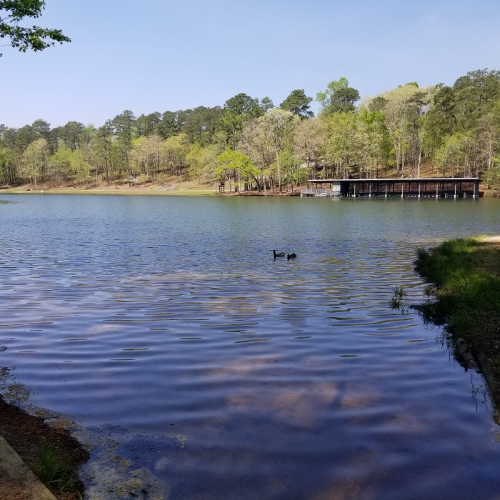 Cliffs of the Neuse State Park