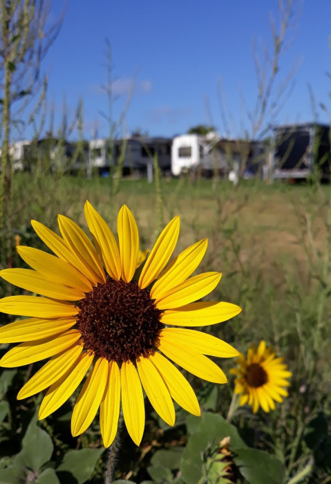 Gallagher Acres RV Park
