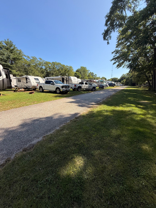 McCann Campground