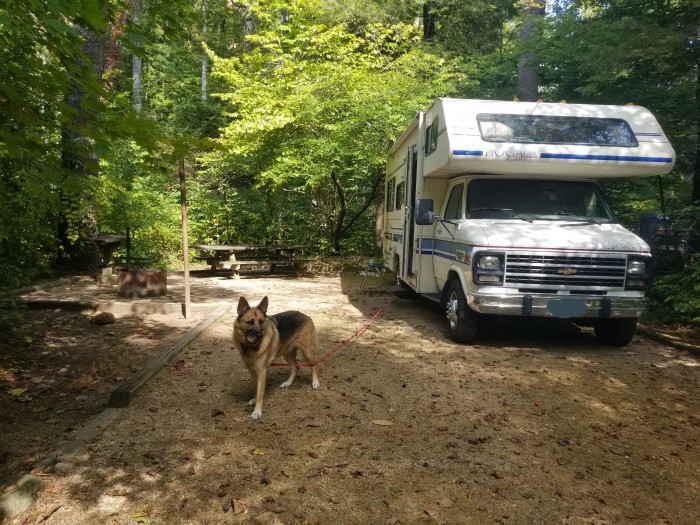 George Washington and Jefferson NF – North Creek Campground