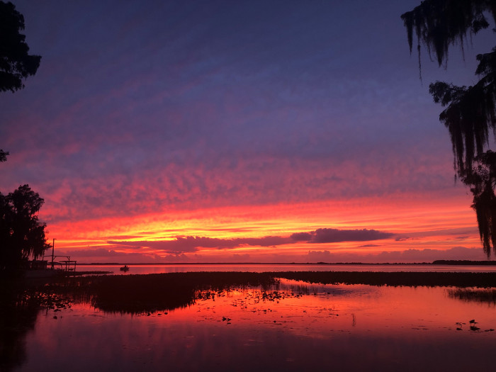 Mossy Cove Fish Camp & RV Resort