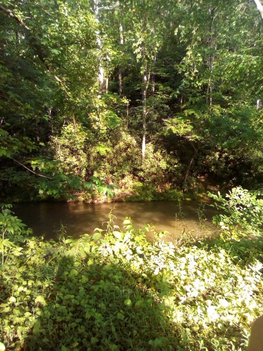 Stoney Fork Campground