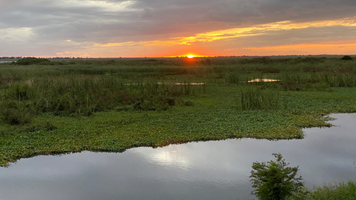 Torry Island Campground