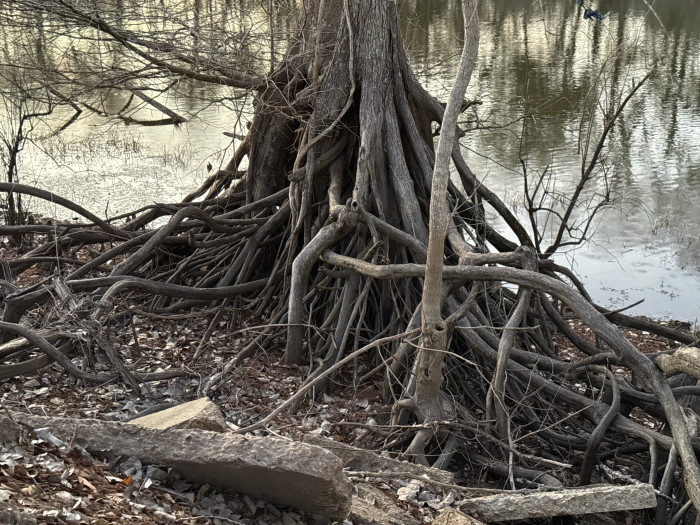 Uncle Dick Davis Park Campground