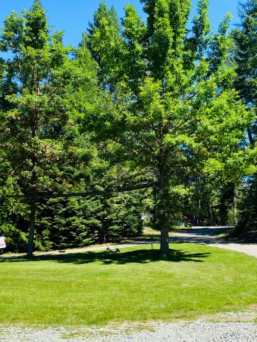 The Hemlocks RV and Lodging