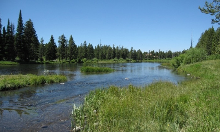 Buffalo Campground