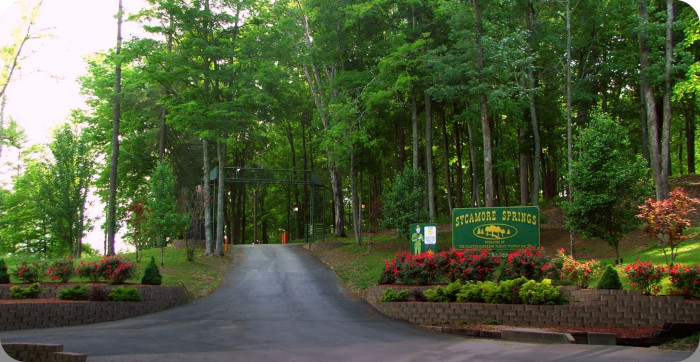 Sycamore Springs Park