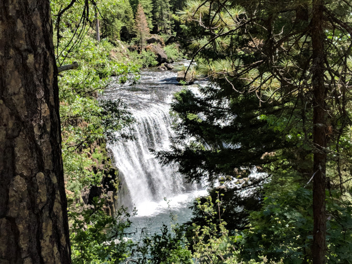 Shasta-Trinity NF – Fowlers Campground