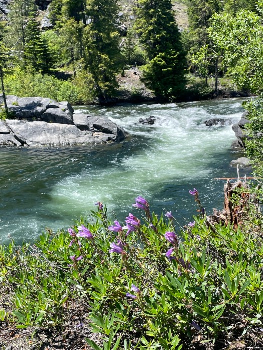 Eightmile Campground