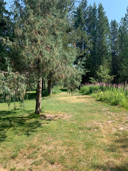 Timberline Golf