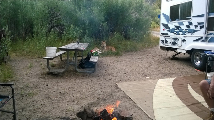 Moraine Overflow Campground