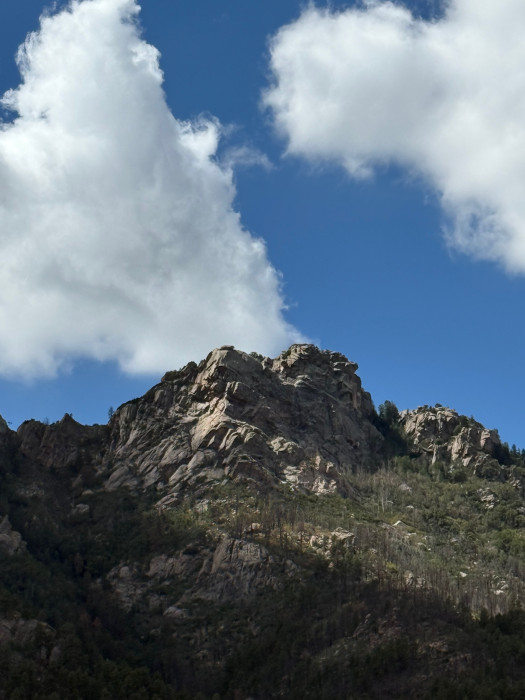Hualapai Mountain Park
