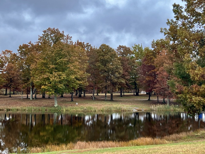 Bigfoot Adventure TN RV Resort