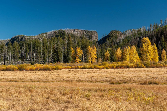 Lost Lake USFS Campground
