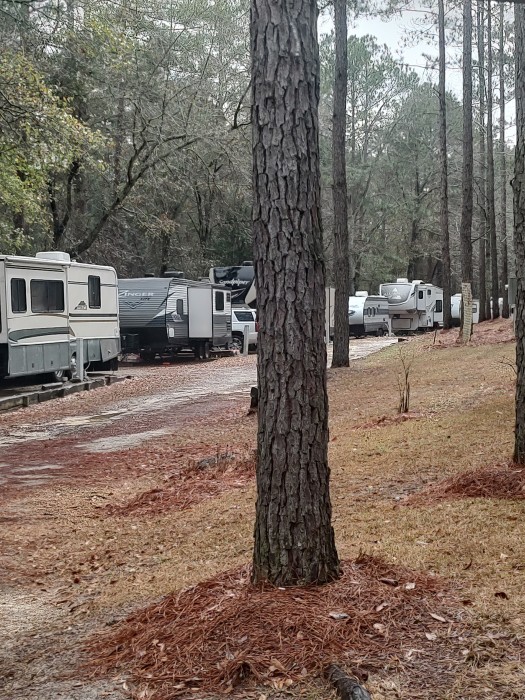 Bear Branch RV Park