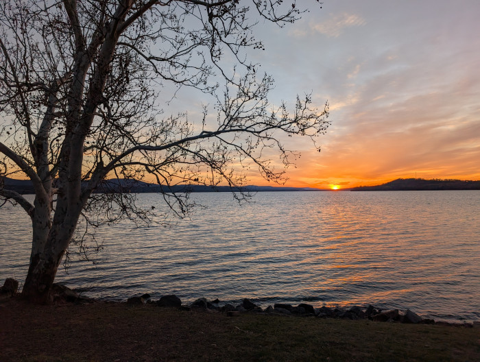 Lake Dardanelle State Park