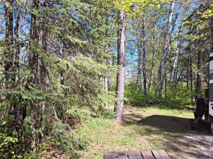 Pfeiffer Lake Campground & Backcountry Sites