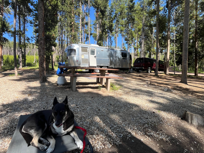 Lodgepole Campground
