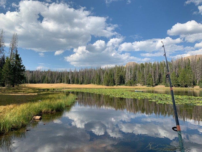 Lilly Lake Campground