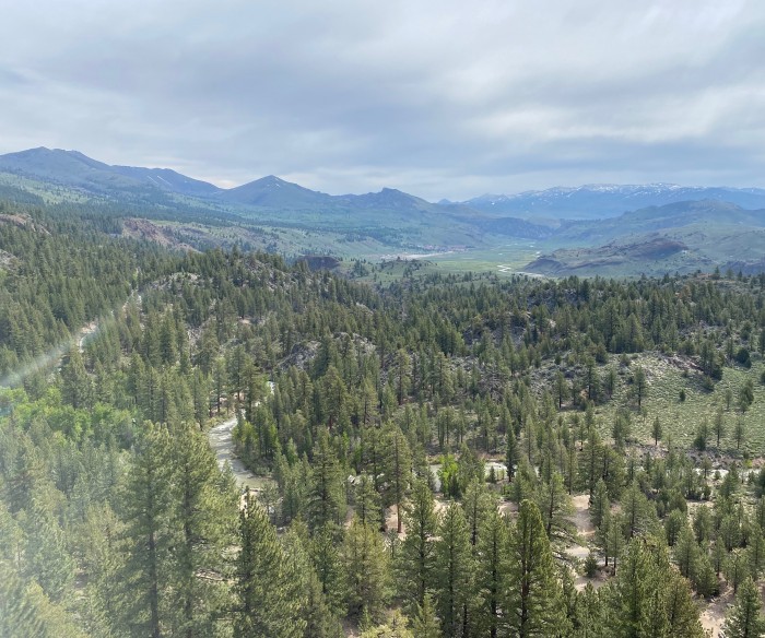 Leavitt Meadows Campground