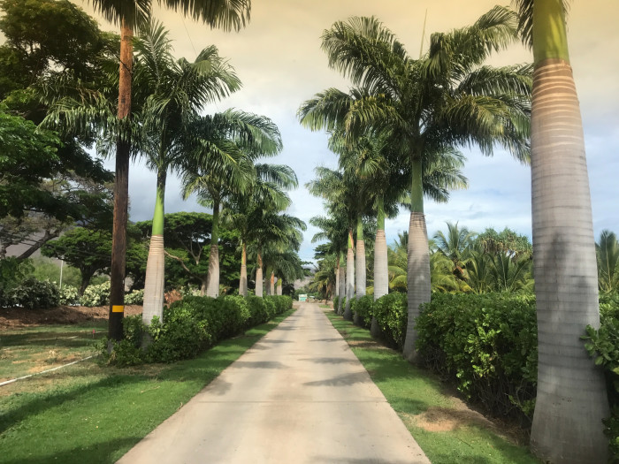 Camp Olowalu