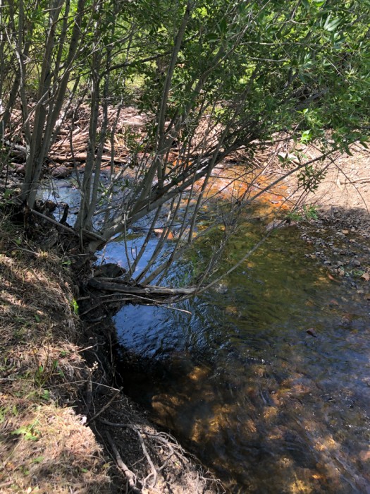 Jack Creek Campground