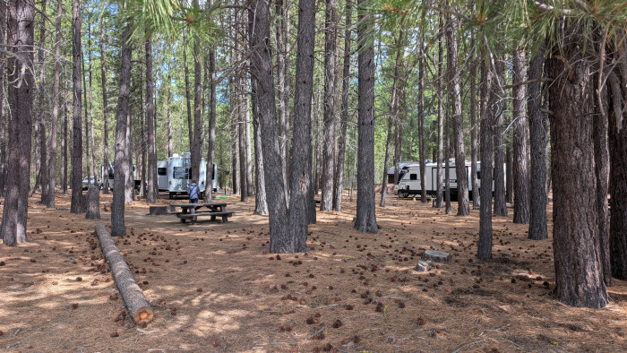 Gull Point Campground