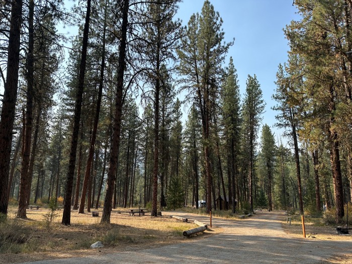 Grayback Gulch Campground