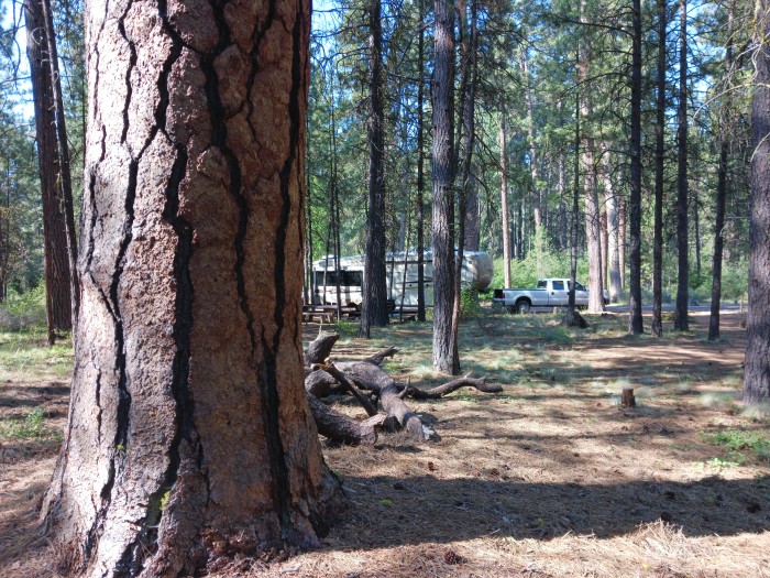 Gorge Campground