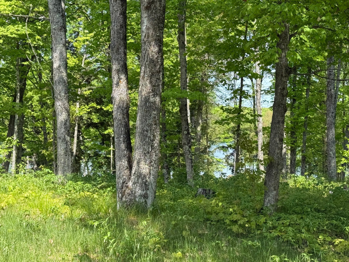 Golden Lake Campground