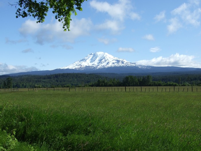 Godman Campground