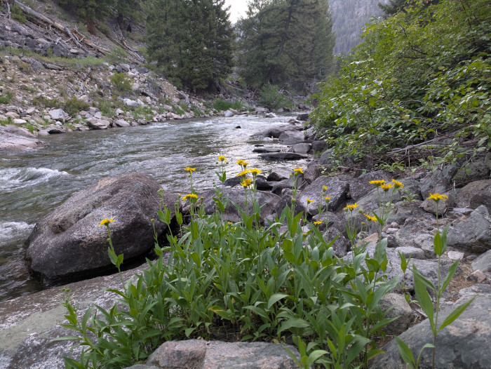 Flat Rock Campground